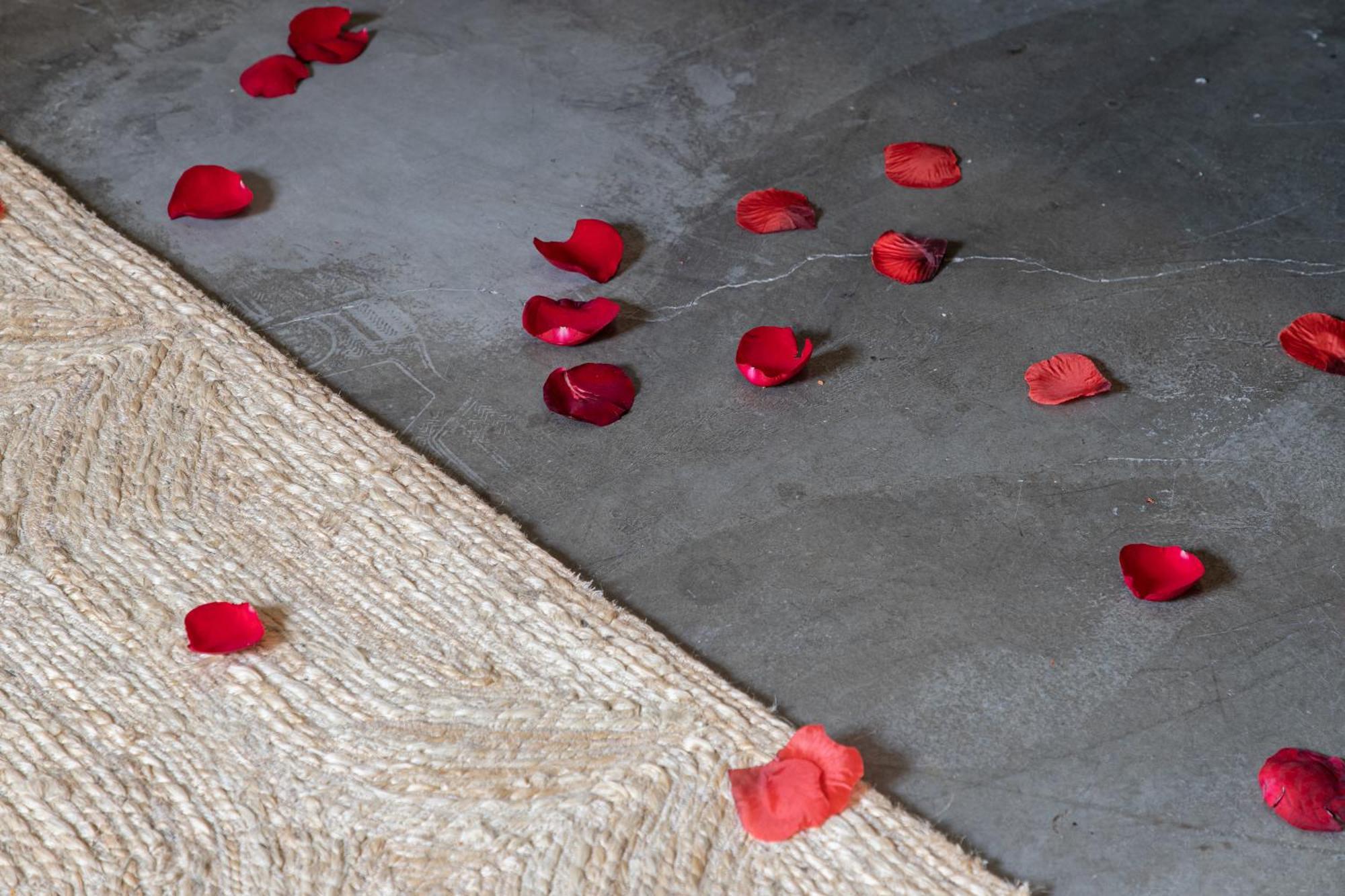 Oaxaca Casa Lumos - Minimalist Comfort Suites In Centro Historico מראה חיצוני תמונה