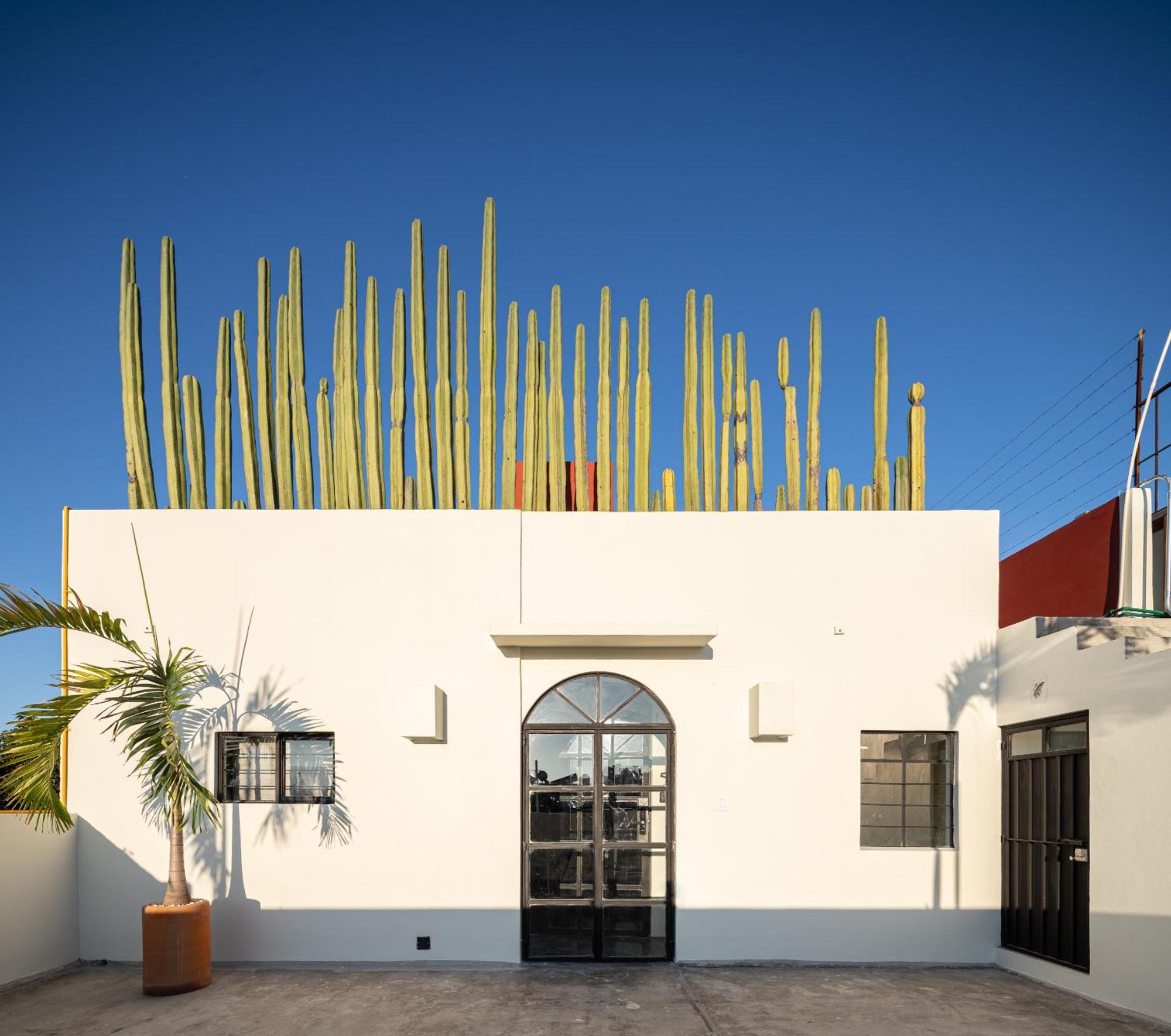 Oaxaca Casa Lumos - Minimalist Comfort Suites In Centro Historico מראה חיצוני תמונה