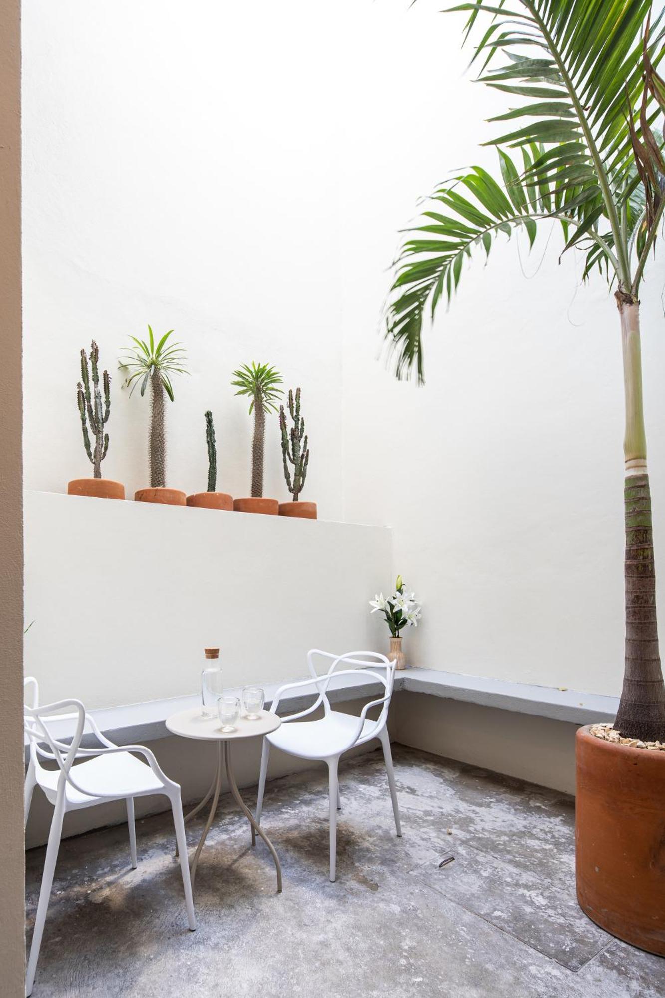 Oaxaca Casa Lumos - Minimalist Comfort Suites In Centro Historico מראה חיצוני תמונה
