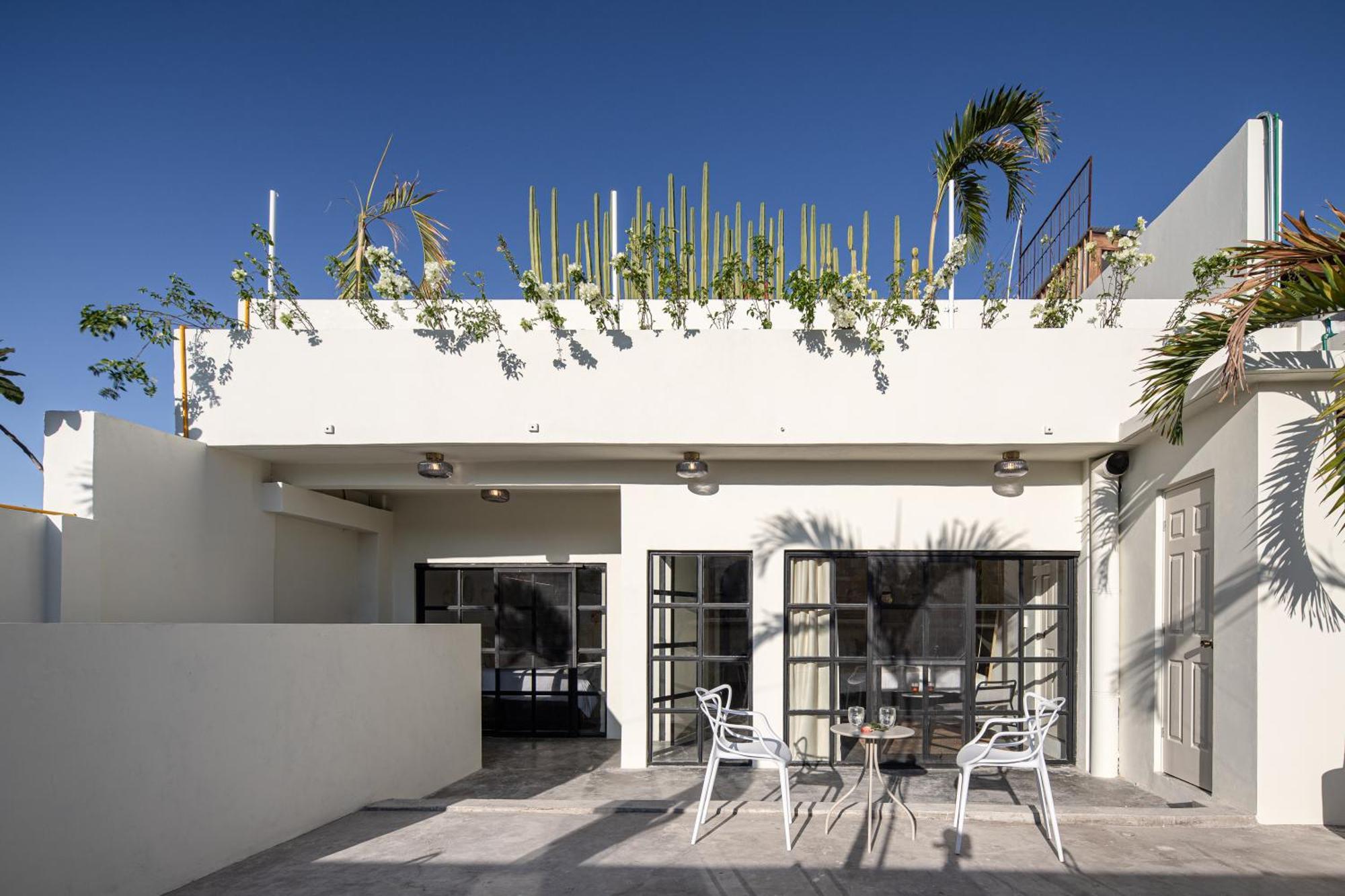 Oaxaca Casa Lumos - Minimalist Comfort Suites In Centro Historico מראה חיצוני תמונה