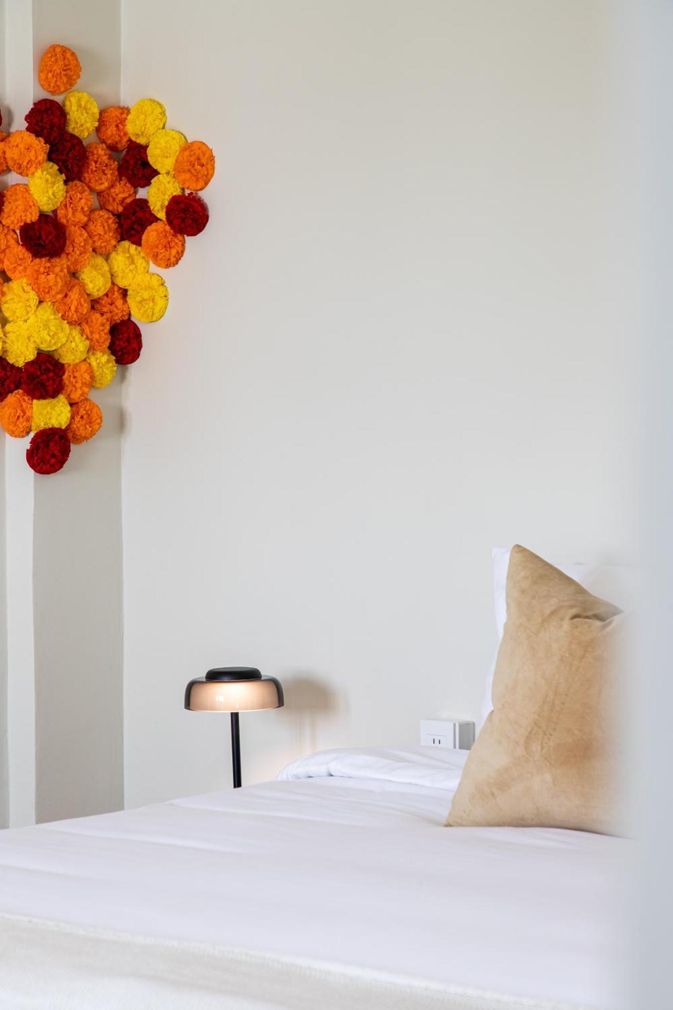 Oaxaca Casa Lumos - Minimalist Comfort Suites In Centro Historico מראה חיצוני תמונה